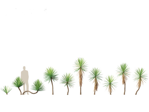 Pacote 50 de plantas de jardim da Am&eacute;rica do Norte Modelo 3D