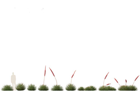 Pacote de Folhagem Arquitet&ocirc;nica Tropical 51 Modelo 3D