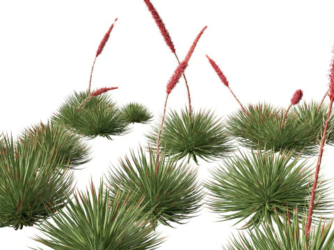 Pacote de Folhagem Arquitet&ocirc;nica Tropical 51 Modelo 3D