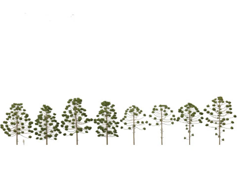 Pacote de Folhagem Arquitet&ocirc;nica Tropical 51 Modelo 3D