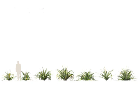 Pacote de Folhagem Arquitet&ocirc;nica Tropical 51 Modelo 3D