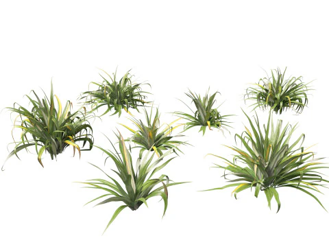 Pacote de Folhagem Arquitet&ocirc;nica Tropical 51 Modelo 3D