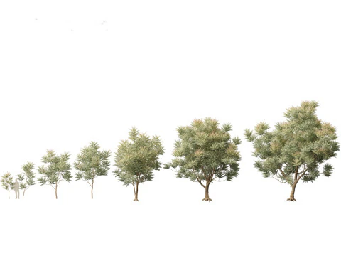 Pacote de Folhagem Arquitet&ocirc;nica Tropical 51 Modelo 3D