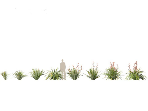 Pacote de Folhagem Arquitet&ocirc;nica Tropical 51 Modelo 3D