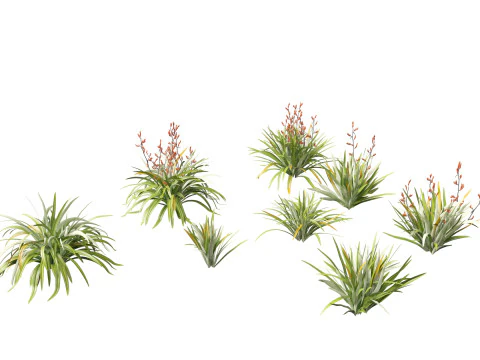 Pacote de Folhagem Arquitet&ocirc;nica Tropical 51 Modelo 3D