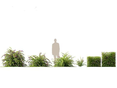 Pacote de Folhagem Arquitet&ocirc;nica Tropical 51 Modelo 3D