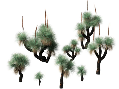 Pacote de Folhagem Arquitet&ocirc;nica Tropical 51 Modelo 3D