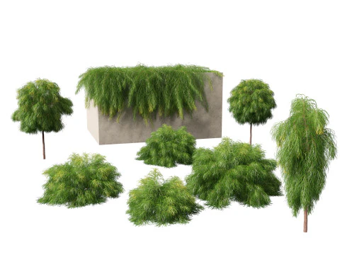 Mediterranean Drought-Tolerant Pack 52 3D Model