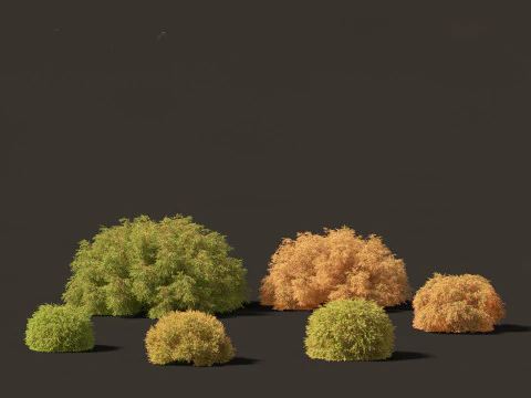 Mediterranean Drought-Tolerant Pack 52 3D Model