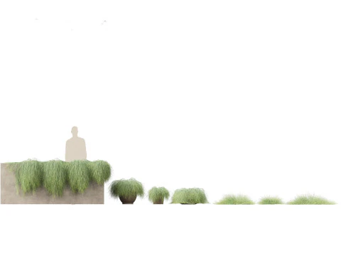 Mediterranean Drought-Tolerant Pack 52 3D Model