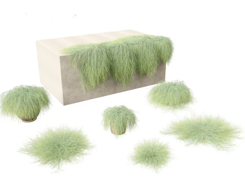 Mediterranean Drought-Tolerant Pack 52 3D Model