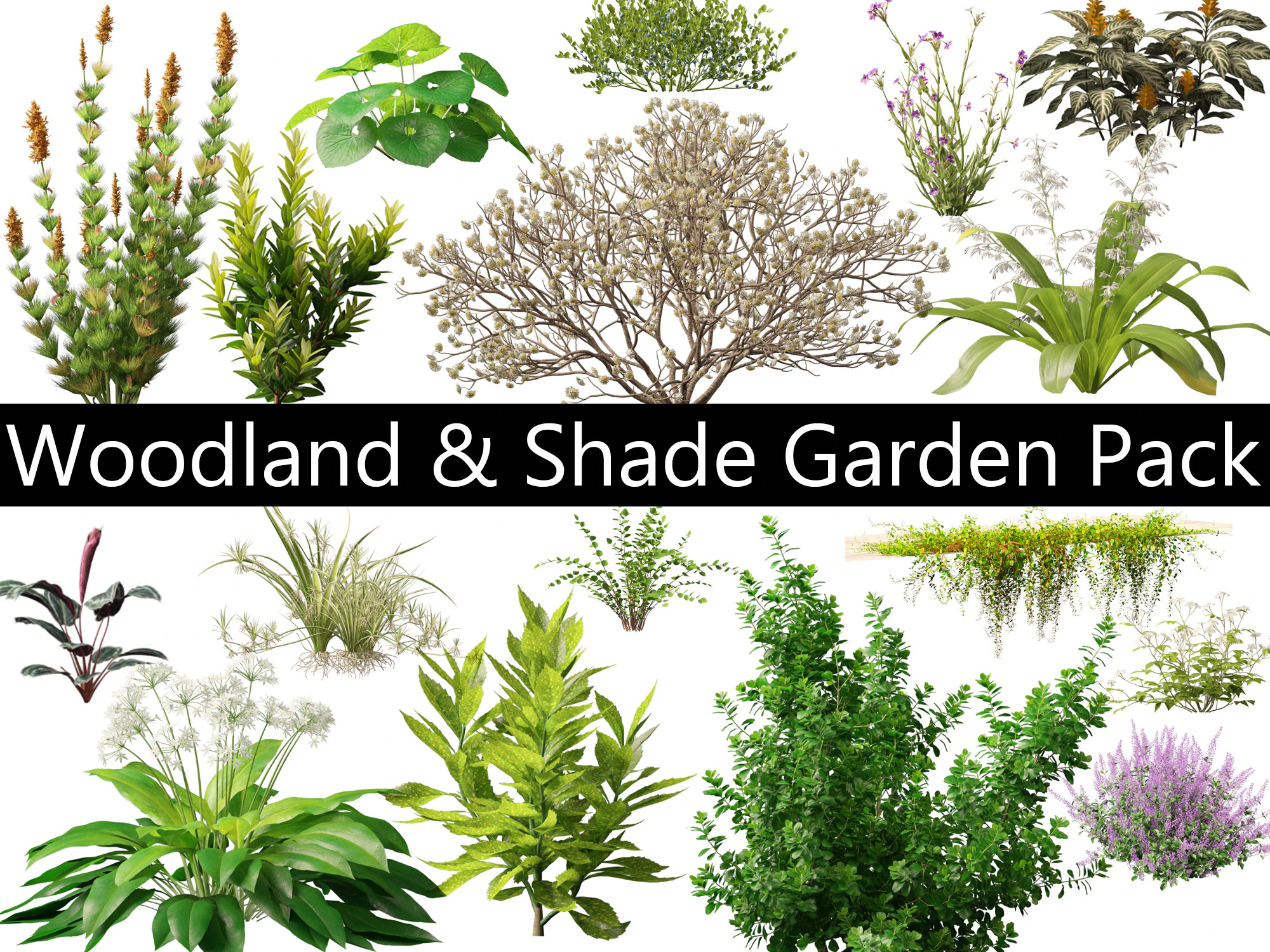 Pacchetto giardino all'ombra del bosco 53 Modello 3D .c4d .max .obj .3ds .fbx .stl .blend