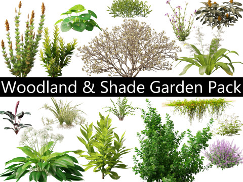 Pacote de jardim com sombra de floresta 53 Modelo 3D