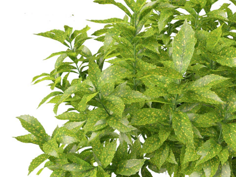 Pacchetto giardino all'ombra del bosco 53 Modello 3D