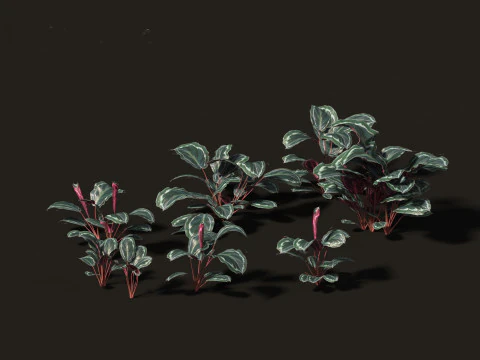 Pacchetto giardino all'ombra del bosco 53 Modello 3D