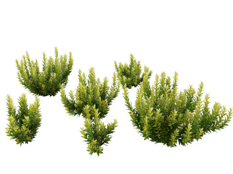 Pacchetto giardino all'ombra del bosco 53 Modello 3D