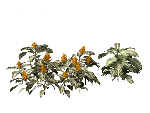 Pacchetto giardino all'ombra del bosco 53 Modello 3D