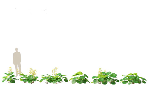 Pacchetto giardino all'ombra del bosco 53 Modello 3D