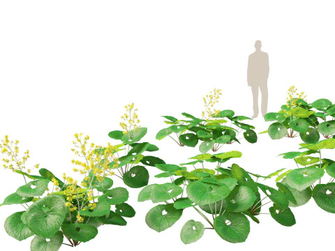 Pacchetto giardino all'ombra del bosco 53 Modello 3D