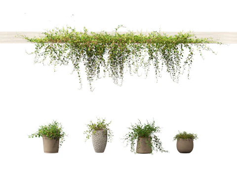 Pacchetto giardino all'ombra del bosco 53 Modello 3D