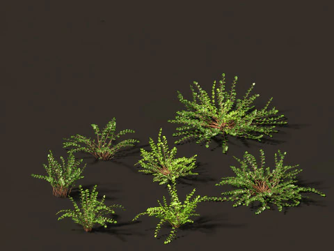 Pacchetto giardino all'ombra del bosco 53 Modello 3D