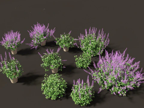 Pacchetto giardino all'ombra del bosco 53 Modello 3D
