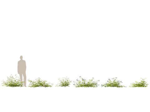 Pacchetto giardino all'ombra del bosco 53 Modello 3D