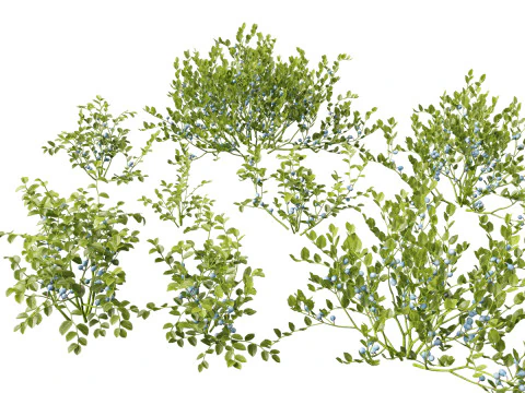 Pacchetto giardino all'ombra del bosco 53 Modello 3D