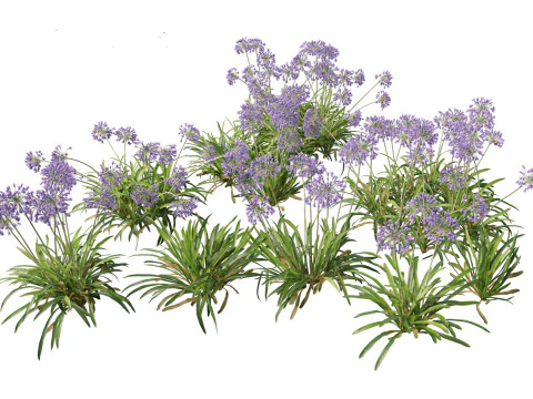 Pacchetto alberi arbusti da fiore temperati 54 Modello 3D