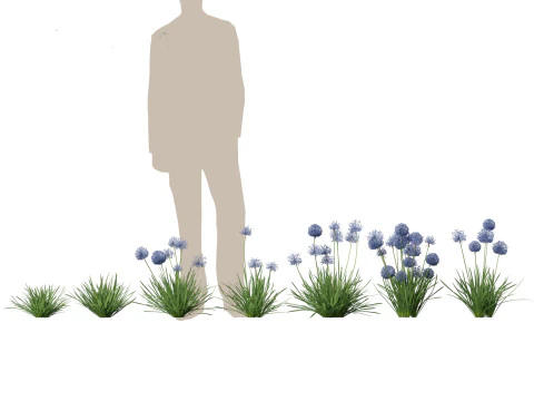 Pacchetto alberi arbusti da fiore temperati 54 Modello 3D