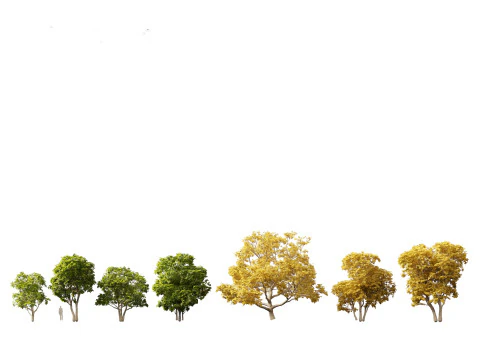 Pacchetto alberi arbusti da fiore temperati 54 Modello 3D