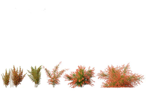 Pacchetto alberi arbusti da fiore temperati 54 Modello 3D