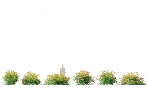 Pacchetto alberi arbusti da fiore temperati 54 Modello 3D