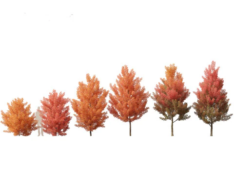 Pacchetto alberi arbusti da fiore temperati 54 Modello 3D
