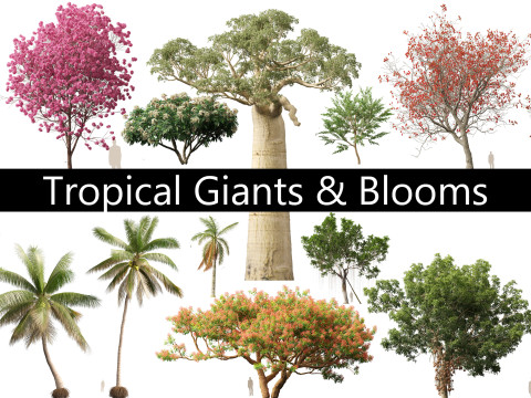 Tropical Giants Blooms Pack 01 3D Модель