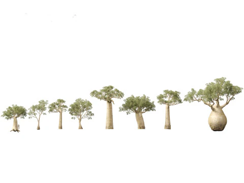 Pacchetto fioriture di giganti tropicali 01 Modello 3D