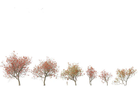 Pacchetto fioriture di giganti tropicali 01 Modello 3D