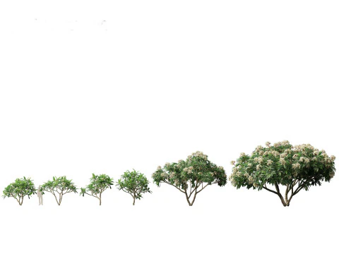 Pacchetto fioriture di giganti tropicali 01 Modello 3D