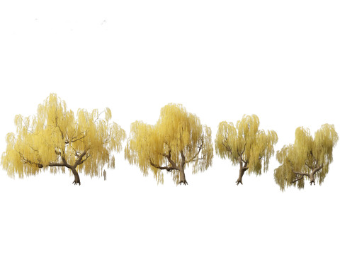 秋季色彩系列包 06 3D 模型