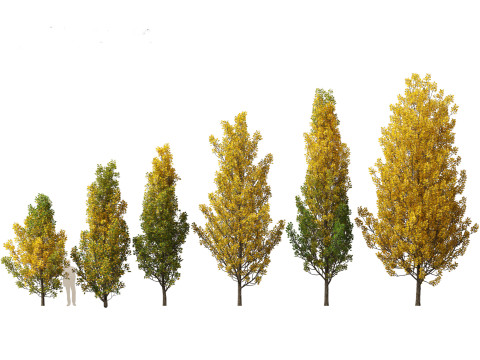 秋季色彩系列包 06 3D 模型