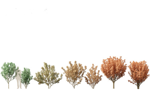 秋季色彩系列包 06 3D 模型