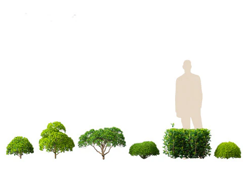 Pakiet niezbędnik&oacute;w do ogrodu przydomowego 18 Model 3D