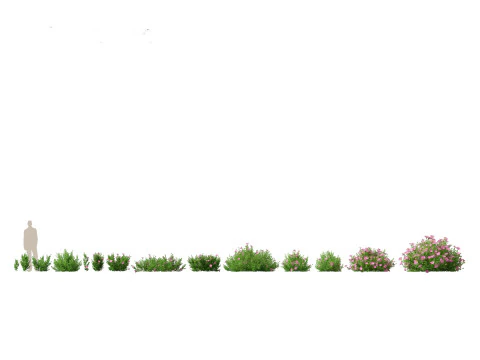 Pakiet niezbędnik&oacute;w do ogrodu przydomowego 18 Model 3D