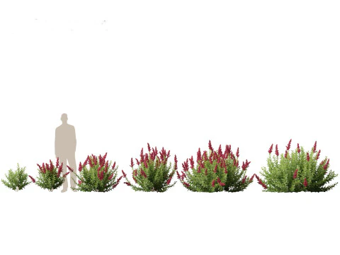 Pakiet niezbędnik&oacute;w do ogrodu przydomowego 18 Model 3D