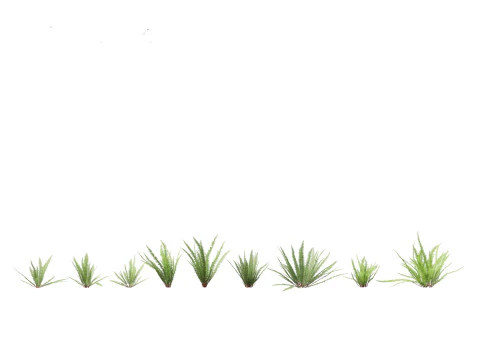 Shade Garden Plants Pack 08 3D Model