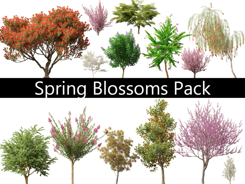 Spring Blossoms Pack 10 3D Model .c4d .max .obj .3ds .fbx .stl .blend 