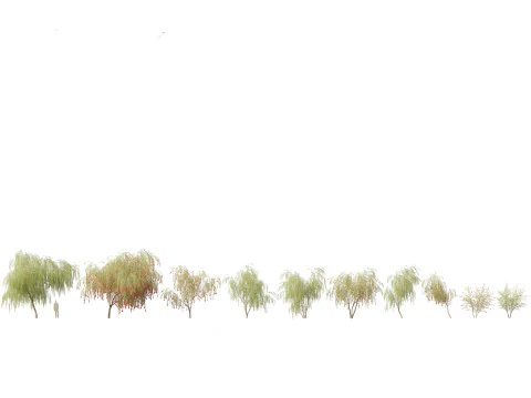 Pacchetto Fiori primaverili 10 Modello 3D