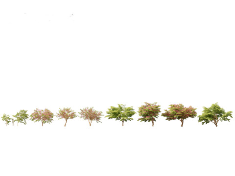 Spring Blossoms Pack 10 3D Model