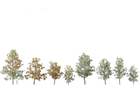 Pacchetto Fiori primaverili 10 Modello 3D