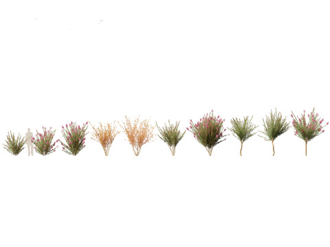 Spring Blossoms Pack 10 3D Model